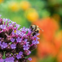 © Landesgartenschau Fulda 2.023 gGmbH