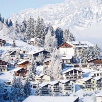 © swisshippo - stock.adobe.com