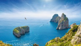  © IgorZh - stock.adobe.com