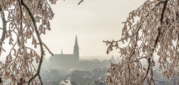 Regensburg im Winter © Regensburg Tourismus GmbH/Thomas Richter