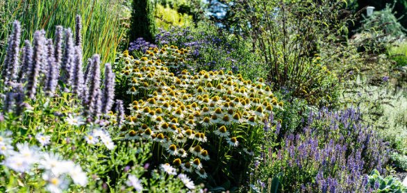 Bodensee, Überlingen, Landesgartenschau, Uferpromenade mit Stau © JM Soedher - stock.adobe.com