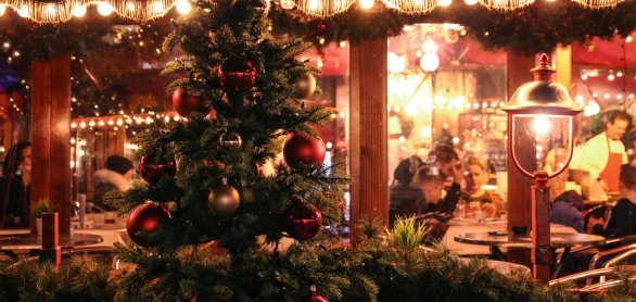 Christmas tree at the Christmas market, Maastricht © Anastasia - stock.adobe.com