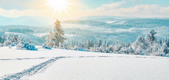 Stunning panorama of snowy landscape in winter in Black Forest - © Corri Seizinger - stock.adobe.co