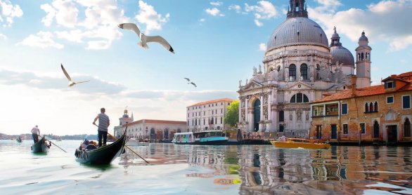 Seagulls and Grand Canal © Givaga - stock.adobe.com