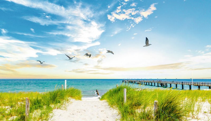 Strand von Graal Müritz, Ostsee, Deutschland © Sina Ettmer - stock.adobe.com